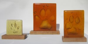 pootafdrukken van Sint Bernhard, golden retriever en kat